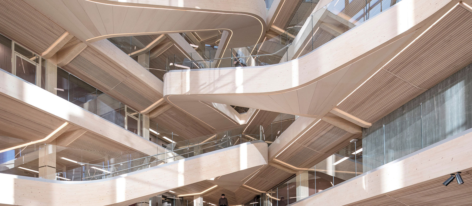 Large wooden stairs indoors. Office building. Photo.