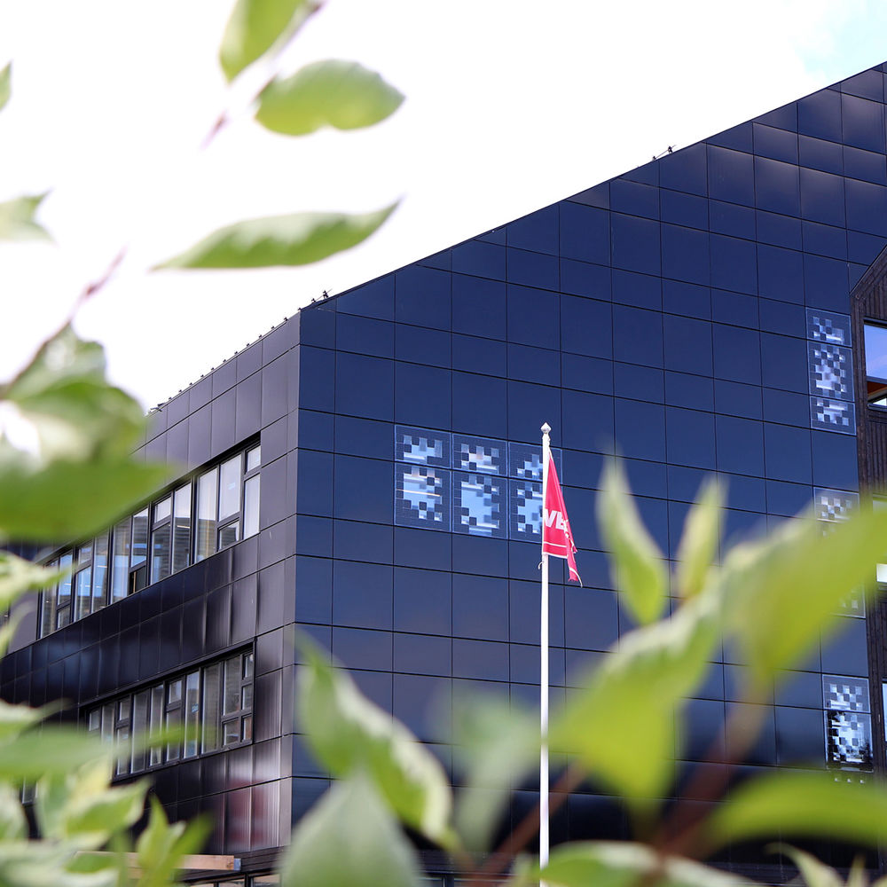 Green leaves in the foreground. Modern office building in the background. Photo.